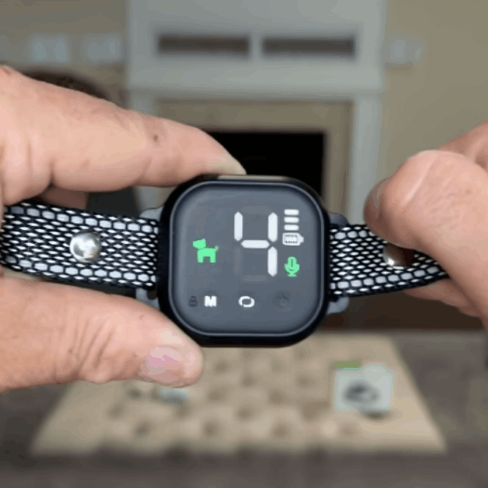 NooBark customer review Sarah Kingston